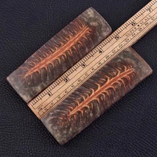 Custom Made Pine Cones Resin Pair Scales For Knife Making Handle
