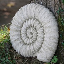 Ancient Ammonite Large 45cm Fossil Stone Statue Outdoor Garden Ornament Sculptur