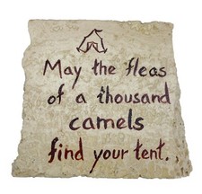 May fleas of thousand camels find your tent Rock Sign Curse Wish Paperweight