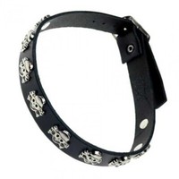 Stylisches Halsband Mit Totenkopf, Skull & Bones, Gothic, Punk