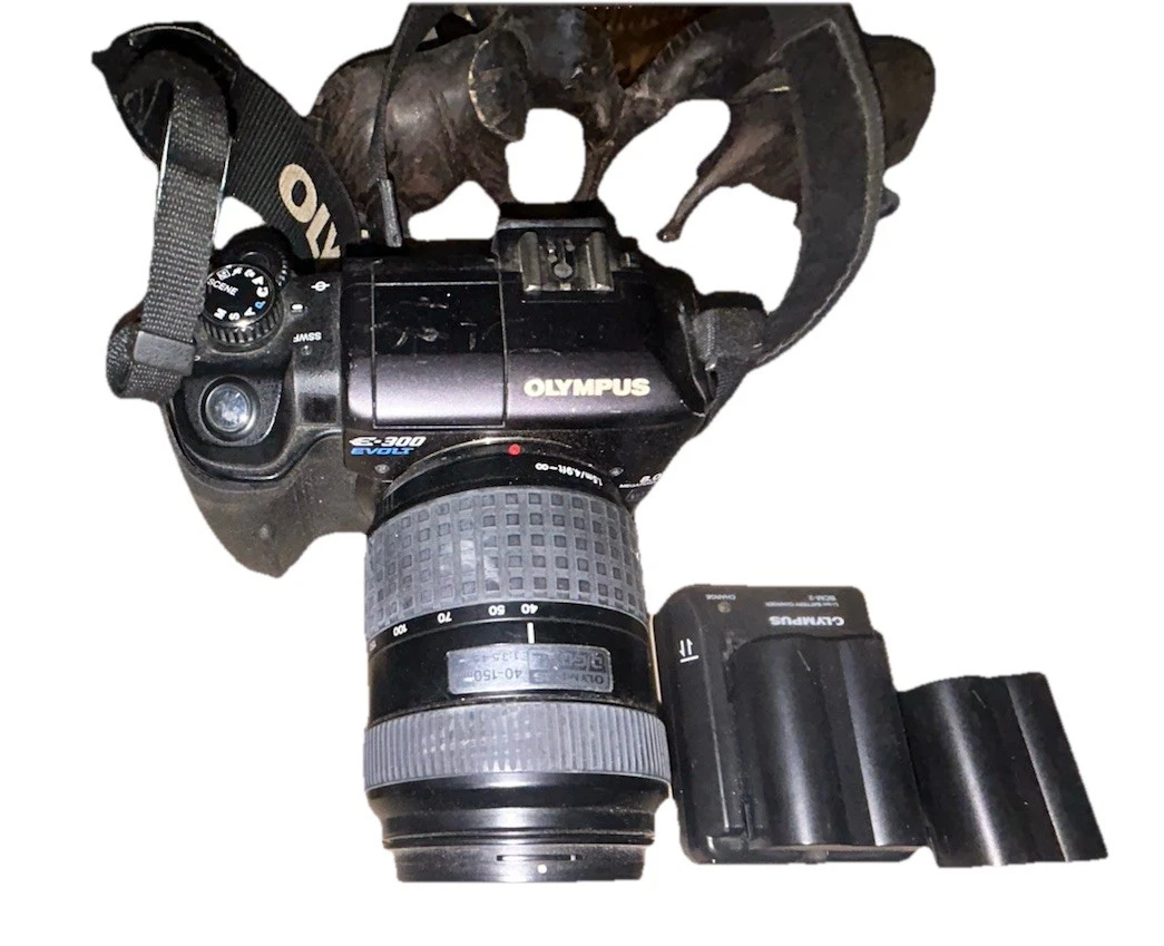 希少美品 OLYMPUS E-300 ボディ シャッターカウント750 希少美品 OLYMPUS E-300 ボディ シャッターカウント750の通販はau PAY
