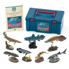 Japan NEW Colorata Ancient Fish Figure Set with Guidebook Realistic Collectible