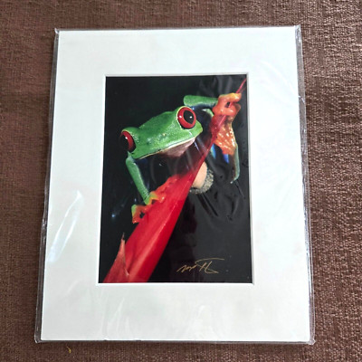 Red Eyed Tree Frog Image # 577 by Mark J. Thomas