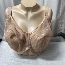 goddess verity beige semi opaque new bra size 36m