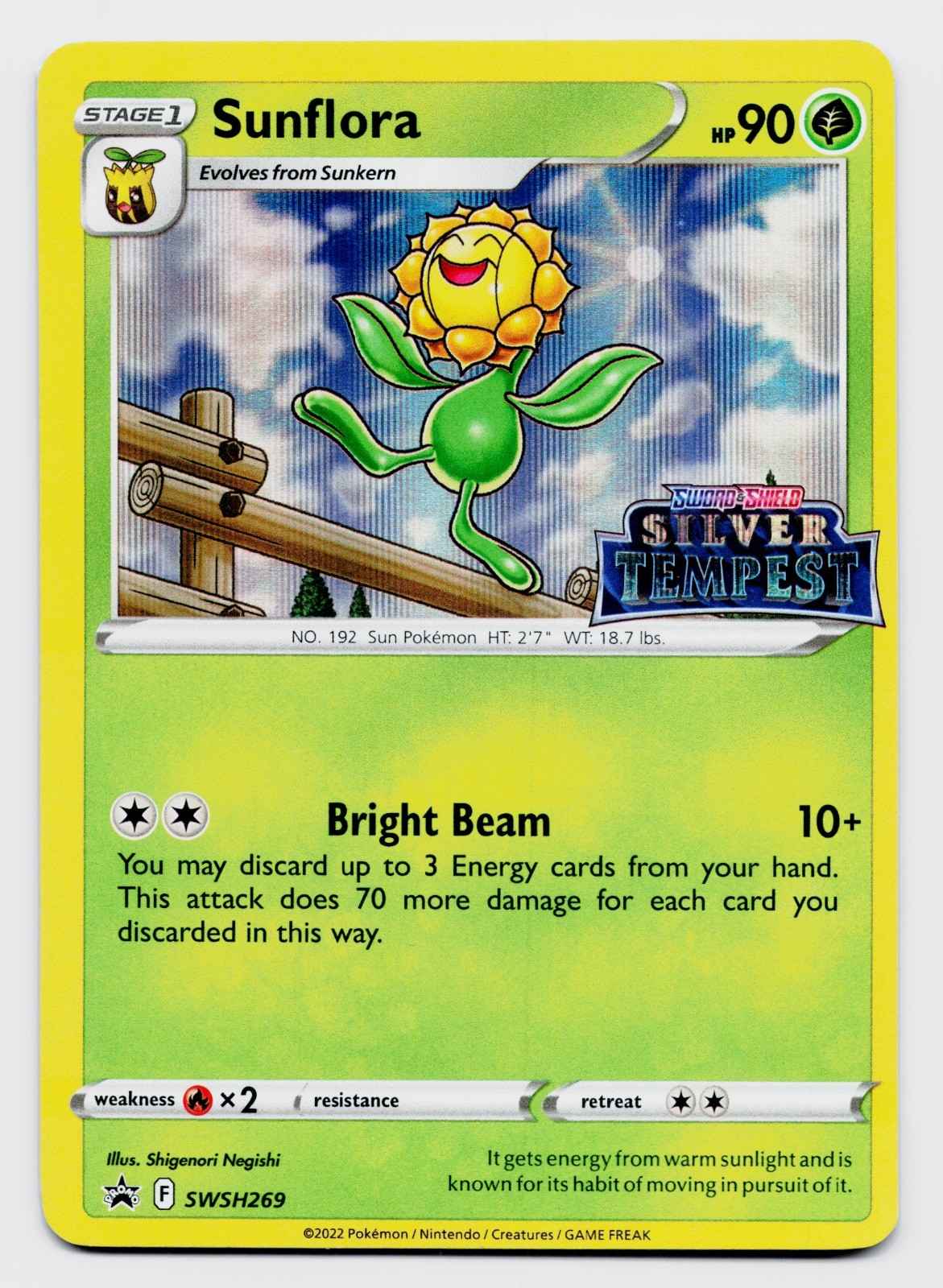 Sunflora SWSH269 Pokemon TCG SWSH: Black Star Promo NM