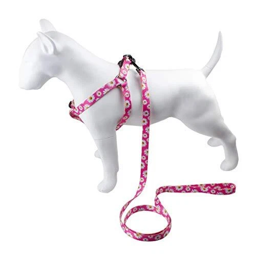 Dog Harness Leash Set Adjustable Heavy Duty No S(14"-20" Chest Girth) Daisy Dog Harness Leash Set Adjustable Heavy Duty No S(14"-20" Chest Girth) Daisy