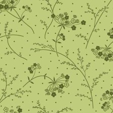 KimberBell Basics By Maywood Studio - Green Make A Wish 9394-G