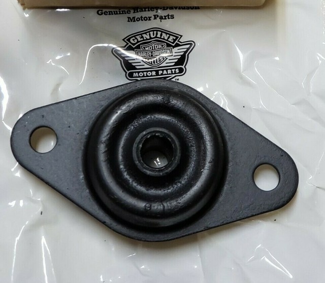 Harley Davidson 06 FLHTCUI Ultra Classic Electra Glide Front Motor