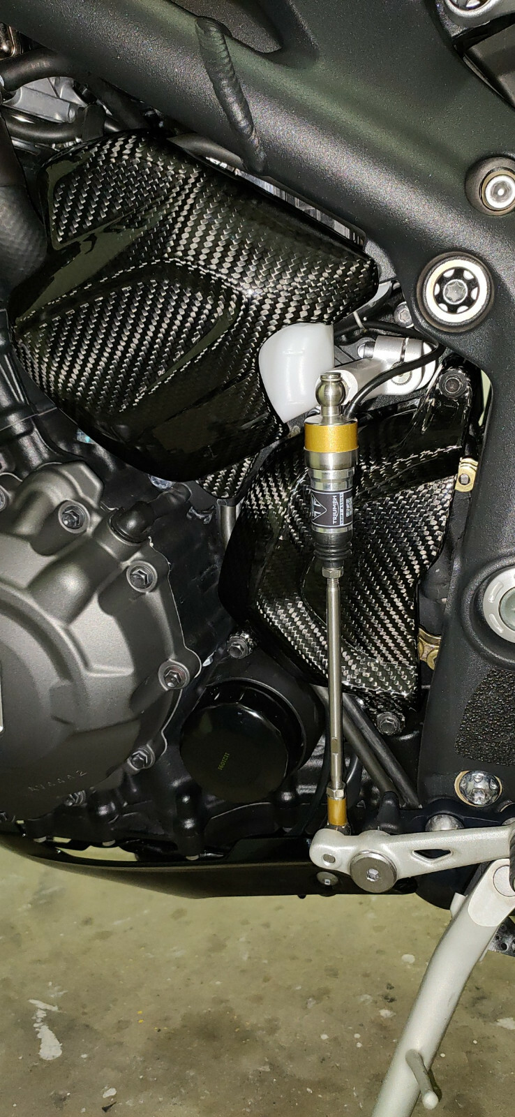 Cache pignon en carbone pour Triumph Speed Triple 1200 RS - 3