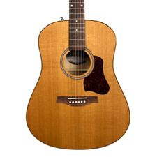 Seagull Coastline Momentum High Gloss Acoustic/electric
