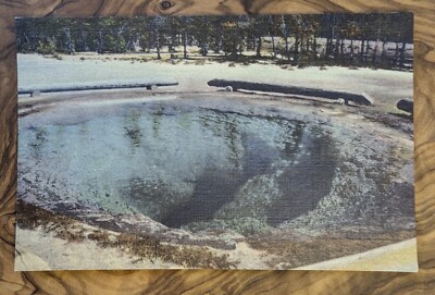 Union Pacific Postcard Morning Glory Pool  Yellowstone Postcard Linen Vintage
