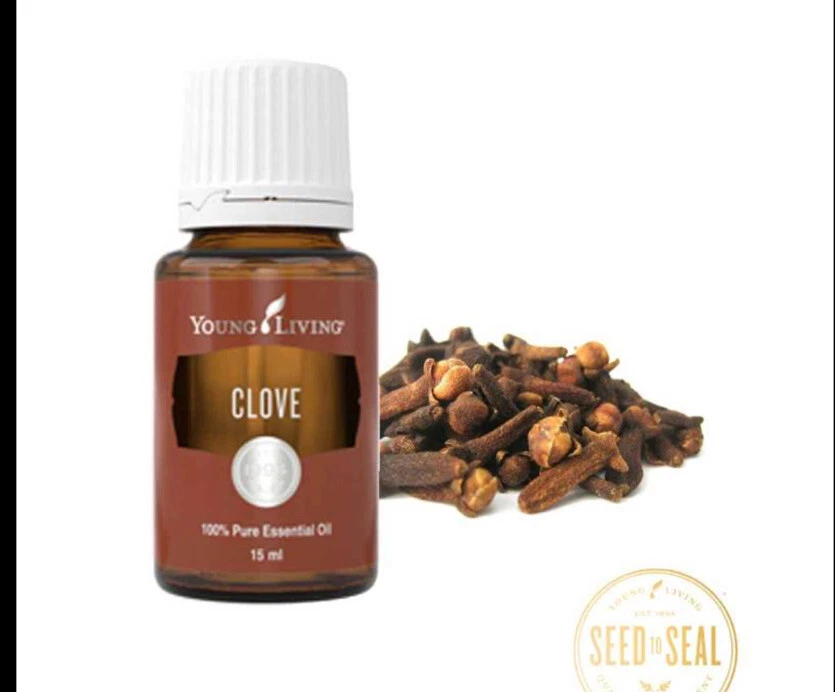 New Sealed Young Living Clove 100 Pure Therapeutic Grade Essential Oil 15 ml