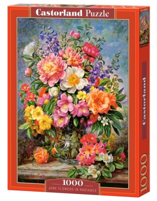 Puzzle 1000 Teile ''Eine Vase mit glänzenden Juni-Blumen'' Neu Blister - Castorland