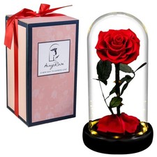 Gift for Mom Forever Preserved Rose in Glass Dome with Light, Women Gifts Ete...