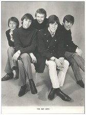 C2067/ Bee Gees Foto 20 x 15 cm ca.1968