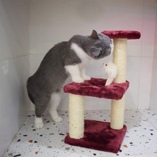 Cat Tree Condo Tower Activity Center Playing House Kitten Condo Tower House Bed