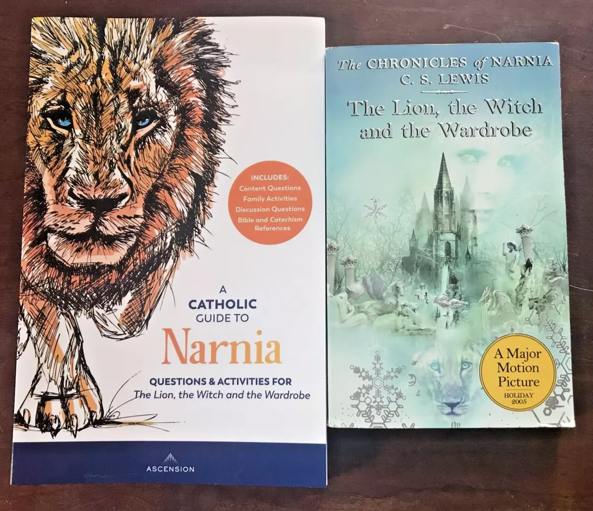 The Lion, The Witch, and the Wardrobe: The Complete Guide to Christian  Symbolism and Bible References in C. S. Lewis' The Chronicles of Narnia