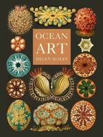 Ocean Art | From The Shore To The Deep | Priscilla Mary Isin | Buch | Englisch