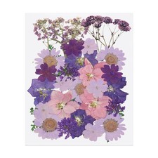 34 Pcs Dried Pressed Flower Leaves Bulk for Resin, Purple Flower Field