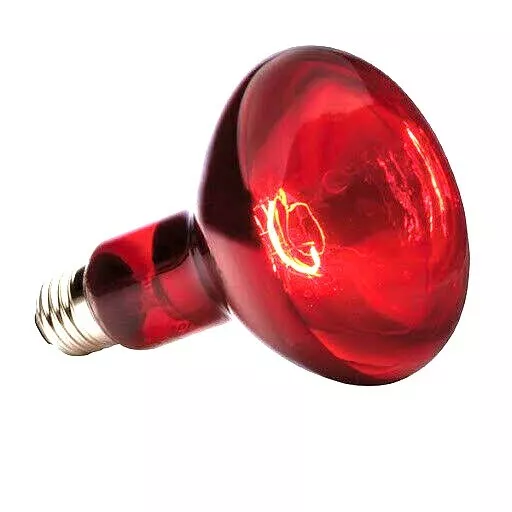 Reptile infrared heat lamps Heat emitters B22 E27 available many sizes