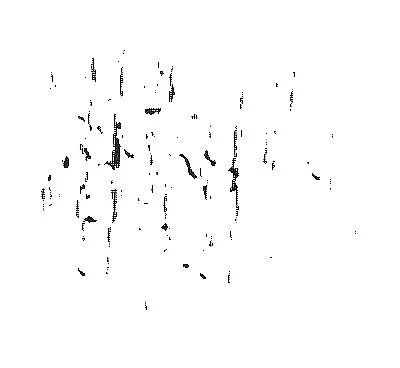 Signature Solid/Plain Craft Fabrics