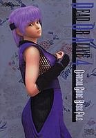 DEAD OR ALIVE 4 OFFICIAL GUIDE -BASIC FILE- strategy guide book ... book form JP