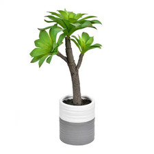 15 In. in Green Artificial Succulent In. in Ceramic Pot