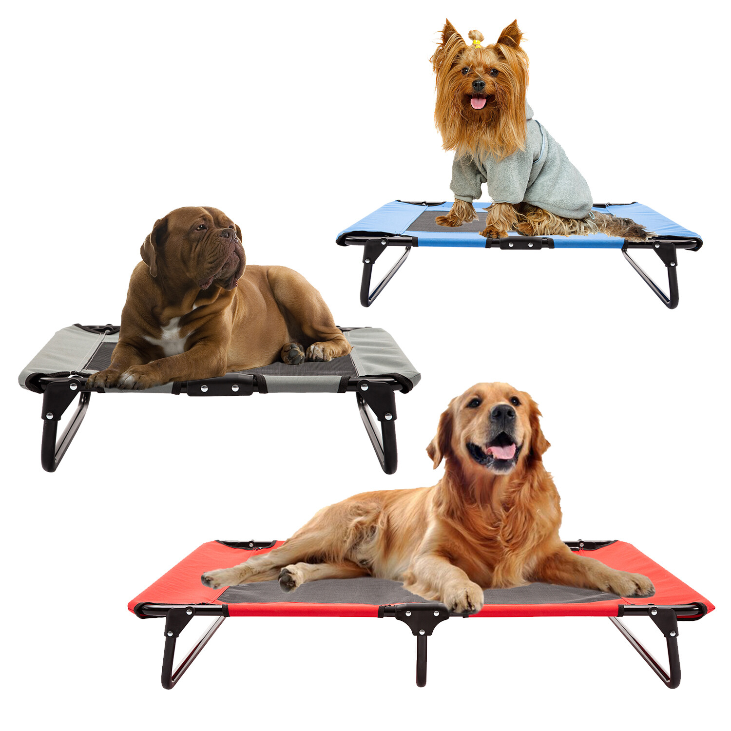 coleman pet cot
