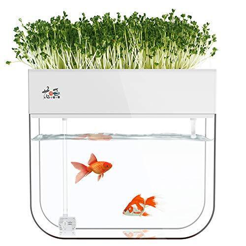 Aquarium Fish Tank With Hydroponic Garden Aquaponic Plants Self-Cleaning White