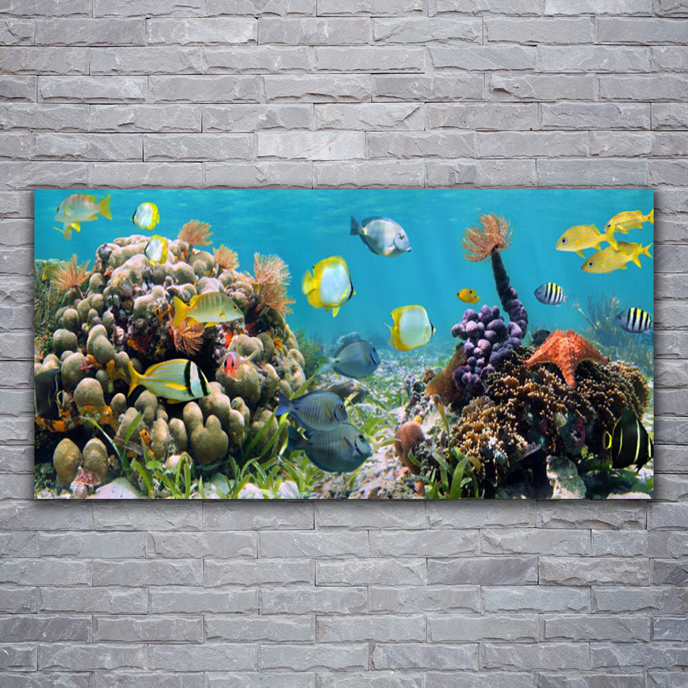 Tableau en verre acrylique recif de corail 120x60 deco murale haut de gamme