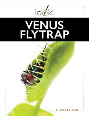 Ashley Gish Venus Flytrap (Taschenbuch)