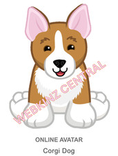 Webkinz Classic Corgi Dog Code Only messaged