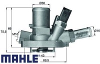 Mahle TI14780 Thermostat FüR KüHlmittel Thermostat KüHlmittel