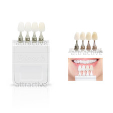 4 Color Dental Bleached Shade Guide Bleach Chart Teeth Whitening Based Vita