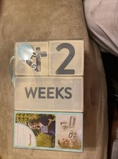 Pearhead Wooden Baby Photo Sharing Milestone Age Blocks Set of 3 Blocks Grey
