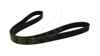 Hart 368 921 Keilrippenriemen FüR Chevrolet CitroËN Hyundai