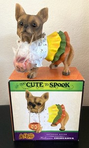 Cracker Barrel Too Cute To Spook Chihuahua Dog Jack O Lantern Halloween