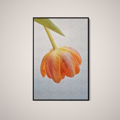 Artographie - Orange Tulip - Art Print on Paper or Canvas