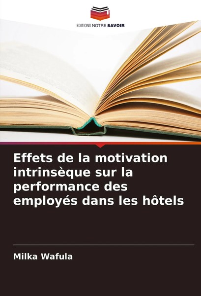 Effets De La Motivation IntrinsèQue Sur La Performance Des EmployéS Dans Les...-image