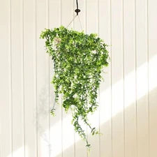 Fake Vine Fake Flowers Green Hotel Indoor Natural Style Vine 70cm Weddings