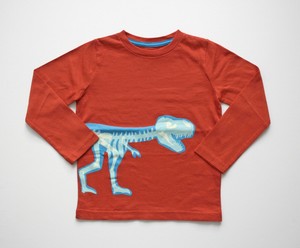 mini boden dinosaur shirt
