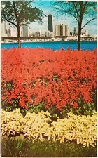 Flowers Lake n Michigan av Skyline John Hancock Center Chicago Illinois Postcard