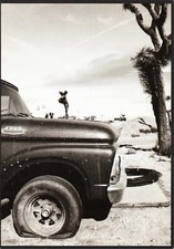 Edgar gratis #699 - Fotografie: Stefan Öszmer  - Postkarte, ungelaufen