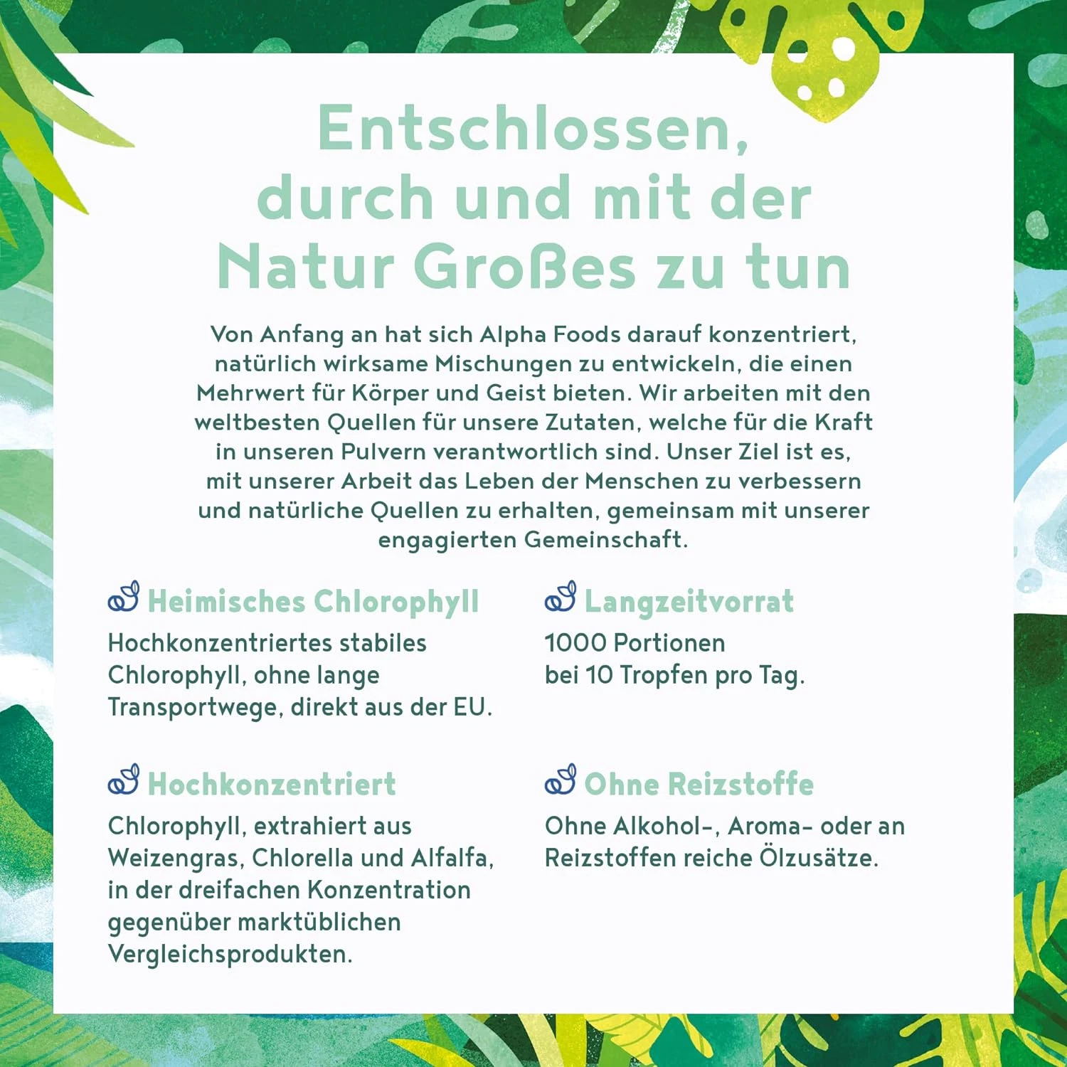 Bild 8 von 10