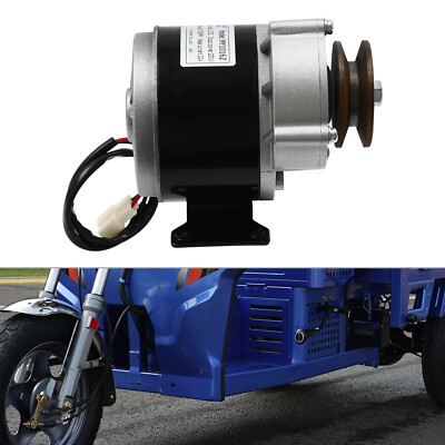 250W 12V Brushed Gear Reduction Electric Motor with Belt Pulley MY1016Z 2750rpm