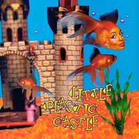 Ani Difranco - Little Plastic Castle - Cd - G1398Z