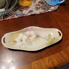 RS Germany handpainted double handled floral dish