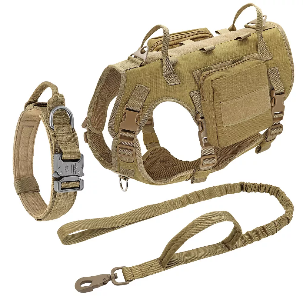 Tactical leash outlet