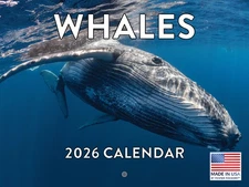 Whale Calendar 2026 Monthly Wall Calender 12 Month | American Made In The USA
