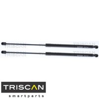2X Gasfeder FüR Koffer-/Laderaum Triscan 871014221 DäMpfer GasdäMpfer